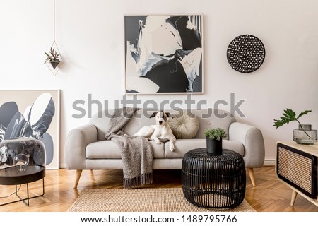 Stylish and scandinavian living room interior of modern apartment with gray sofa, design wooden commode, black table, lamp, abstract paintings on the wall. Beautiful dog lying on the couch. Home decor. Foto stock © 