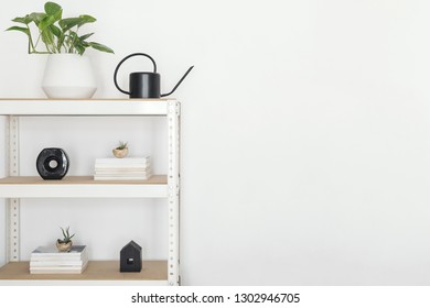 Stylish scandinavian open space interior with white bookstand, plant and accessorries. Empty white walls. Copy space for inscriptions.