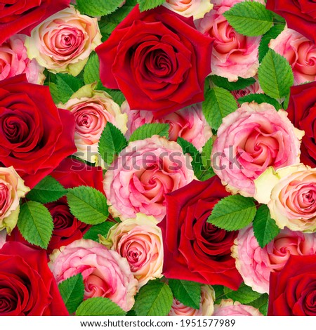 Stylish seamless pattern of red and tea rose flowers. Bright colorful summer background. Chaotic arrangement of buds.