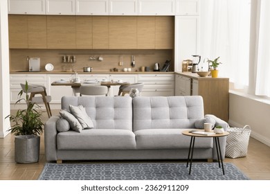 Stylish studio furnished apartment interior with no people. Cozy living room with new comfortable couch, stylish kitchen in pale Scandinavian colors promoting home domestic comfort