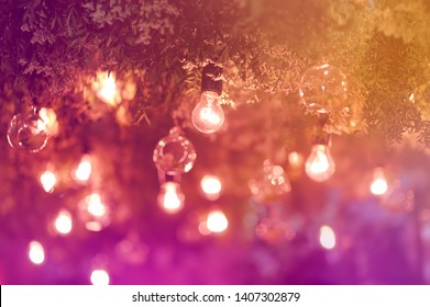 Stylish Toned Photo Of String Lights Hanging On Tree In The Garden At Evening Time. Fashion Decoration With Bulbs For Night Summer Party. Outdoor Electric Lamps