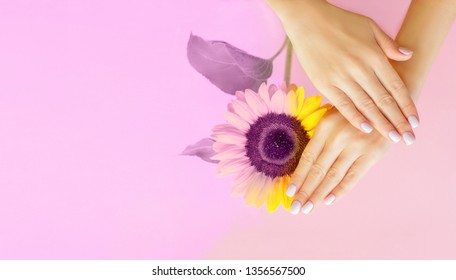 Stylish trendy female manicure  Flower in beautiful young woman's hands  Pink gradient background  Art nails 