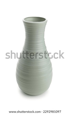 Stylish vase isolated on white background