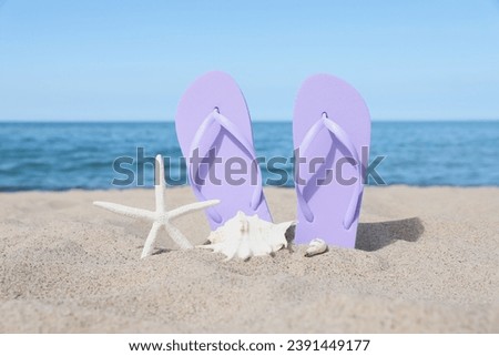 Stylish violet flip flops, starfish and seashells on beach sand
