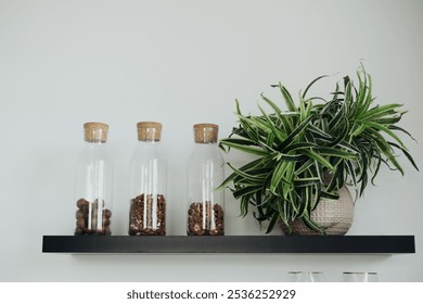 A stylish wall shelf displays three glass jars filled with decorative items, complemented by a vibrant green plant, enhancing the room's ambiance with natural beauty. - Powered by Shutterstock