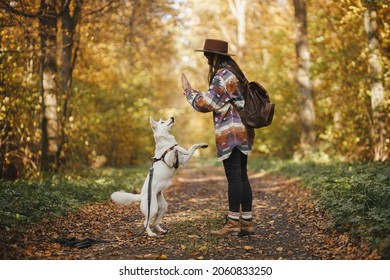 Stylish Woman In Hat With Backpack Training Cute Dog In Sunny Autumn Woods. Teamwork. Young Female Hipster Giving Five To Swiss Shepherd White Dog. Travel And Hiking With Pet.