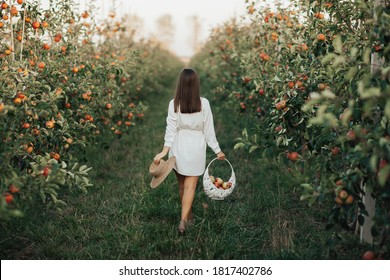 Stylish woman with white dress in summer orchard. Young woman carrying a basket full of apples while walking in garden. Atmospheric moment. - Powered by Shutterstock