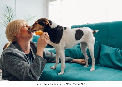 Stylish Young Woman Bonding And Spending Time With Her Dog Pet On The Couch In The Living Room. Adorable Friendship Between Animal And Human. National Dog Day.