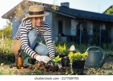 Stylish young woman-gardener planting a plant in garden - Shutterstock ID 2177589705