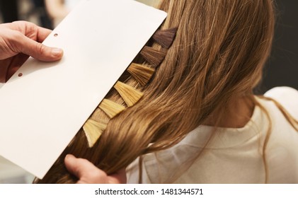 Stylist choosing hair dye color from samples for female client in beauty salon. Closeup, Panorama, Copy Space - Powered by Shutterstock