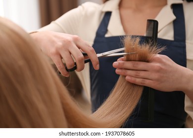 Stylist Cutting Hair Of Client In Professional Salon, Closeup