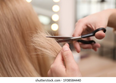 Stylist cutting hair of client in professional salon, closeup