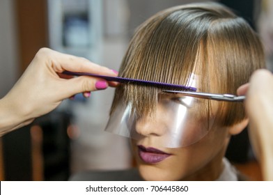 Hair Salon Woman Haircut Cutting Stock Photo 179654753 Shutterstock Hair Salon Woman Haircut Cutting Stock Photo 179654753 Shutterstock
