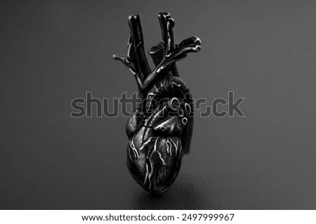 Stylized black heart model showcasing detailed anatomical features, set against a dark background for enhanced visual impact and focus.
