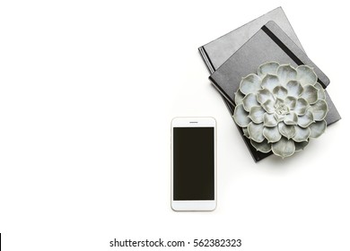 Stylized Photo. Minimal Flatlay Composition With Black Notebooks And A Succulent House Plant On White Background. Feminine Workspace Desktop. Mock Up