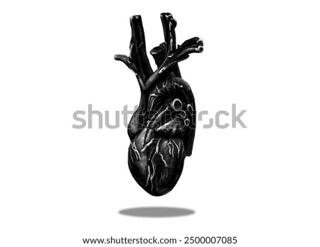 Stylized real-life heart model floating above a white background, casting a soft shadow. Suitable for medical illustrations, artistic and educational materials.