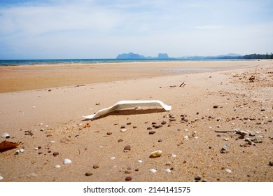 Styrofoam box scraps is on the beach, environmental pollution, ecological problems. Garbage spills on beach of big city.