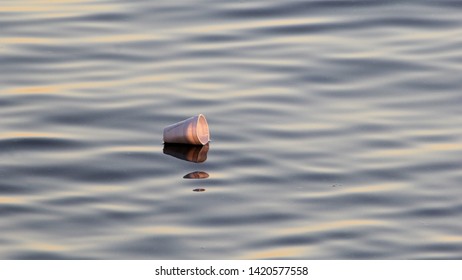 Styrofoam Cup Floating In The Lake