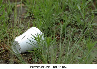 Styrofoam Cup In Grass