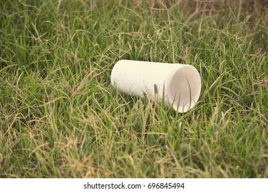 Styrofoam Cup In Grass