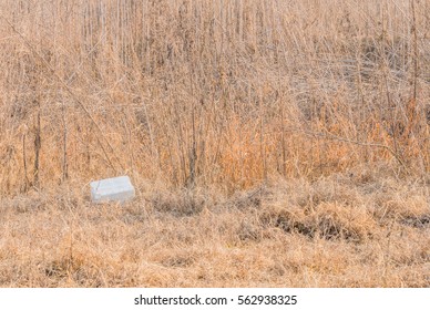 Styrofoam Ice Chest In A Field Of Tall Brown Grass