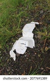 Styrofoam waste that pollutes the soil