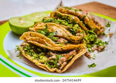 Suadero tacos with cilantro on a plate with lemons, typical Mexican food - Powered by Shutterstock