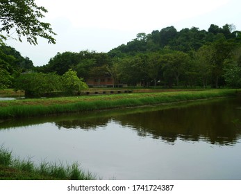 Suan Mokkh, Thailand. 10 Days Silent Meditation Retreat, Vipasana, 