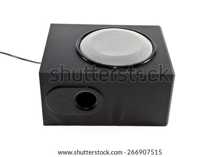 Sub woofer with Loudspeaker