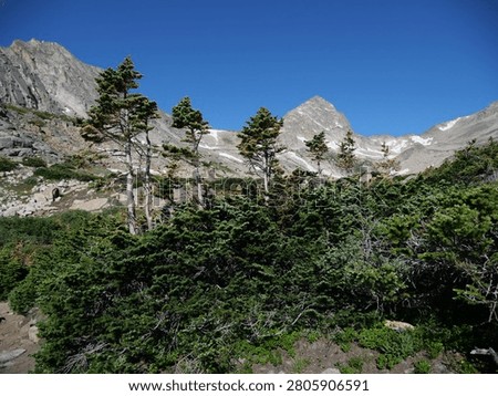 Subalpine Forest Below Mount Toll Near Blue Lake, Indian Peaks Wilderness, Colorado