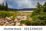 Subalpine rocky vista of the Medicine Bow National Forest, Wyoming, USA.