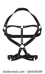 Subject shot of a black leather harness made of straps with rivets, steel rings and buckles. The chest harness is isolated on the white background.  