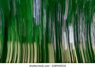 Subjective Esoteric Photo Of A Forest Through Long Exposure And Camera Movement