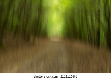 Subjective Esoteric Photo Of A Forest With Track Through Long Exposure And Camera Movement