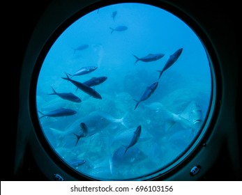 Submarine Window