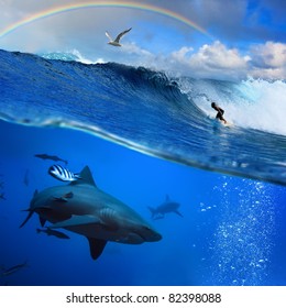 submerged image two parts the ocean and the surfer on the breaking wave cloudy sky over with the flying seagull and angry hungry shark underwater