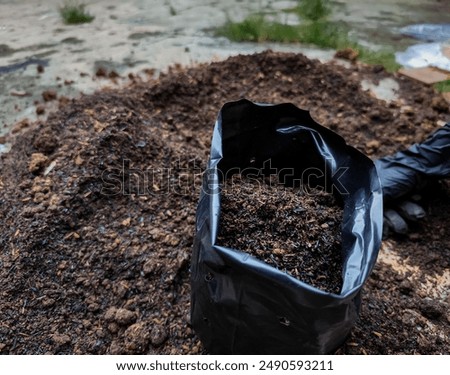Substrate material for growing plants. Some of the soil, mixed with organic fertilizer and rice husks, has been put into planting bags. Leisure time activities.