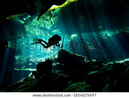 Similar – Man in his back with scuba diving equipment exploring the ocean floor.