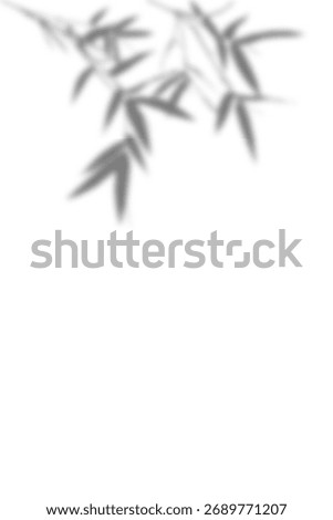 A subtle, blurred shadow of bamboo branches and leaves cast onto a clean white background. This minimalist and abstract design is perfect for a gentle, serene vertical backdrop.