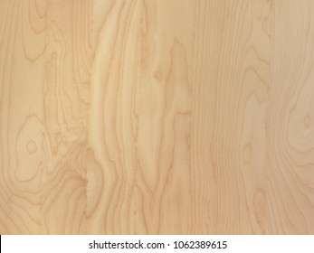 Birch Floor Stock Images Royalty Free Images Vectors