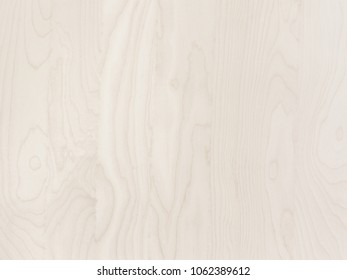 Birch Floor Stock Images Royalty Free Images Vectors