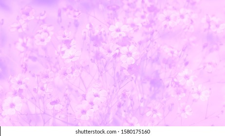 Subtle Pastel Purple Background Scenic Nature Stock Photo 1580175160