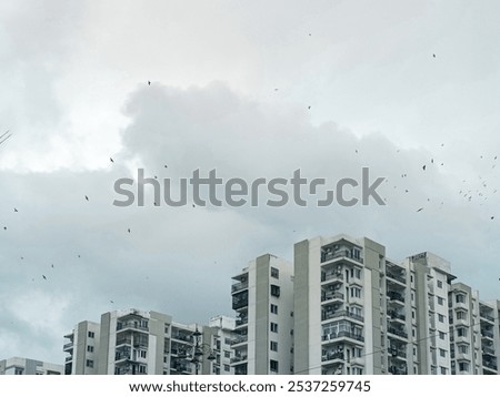 subtle and singularity between the sky and skyscrapers 