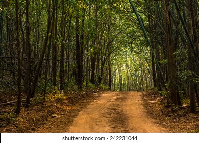 36,322 Subtropical forest Images, Stock Photos & Vectors | Shutterstock