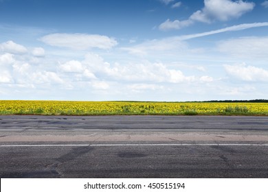 Suburb Asphalt Road And Sun Flowers Field. Summer Landscape