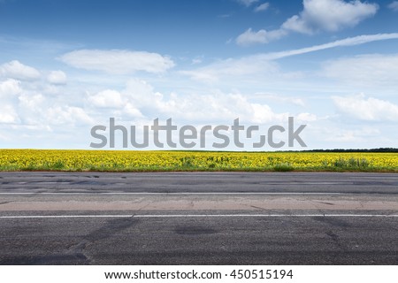 Suburb asphalt road and sun flowers field. Summer landscape