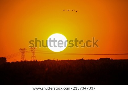 Suburban African Sunset, South Africa