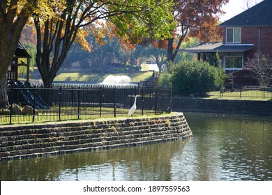 Suburban American Neighborhood With White Bird