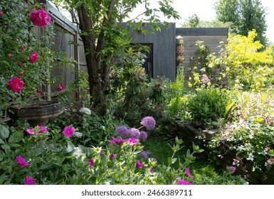 Suburban messy bedhead garden in Pinner, greater London UK, with wide variety of colourful flowers in the foreground. Eco garden studio with black and cedar cladding and green roof behind. - Powered by Shutterstock