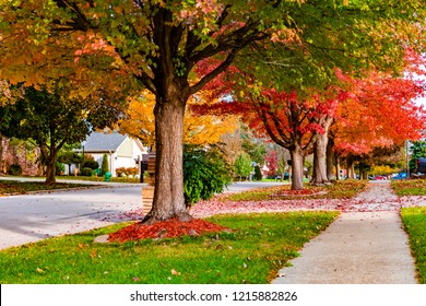 Suburban Neighborhood Sidewalk And Street In Autumn 